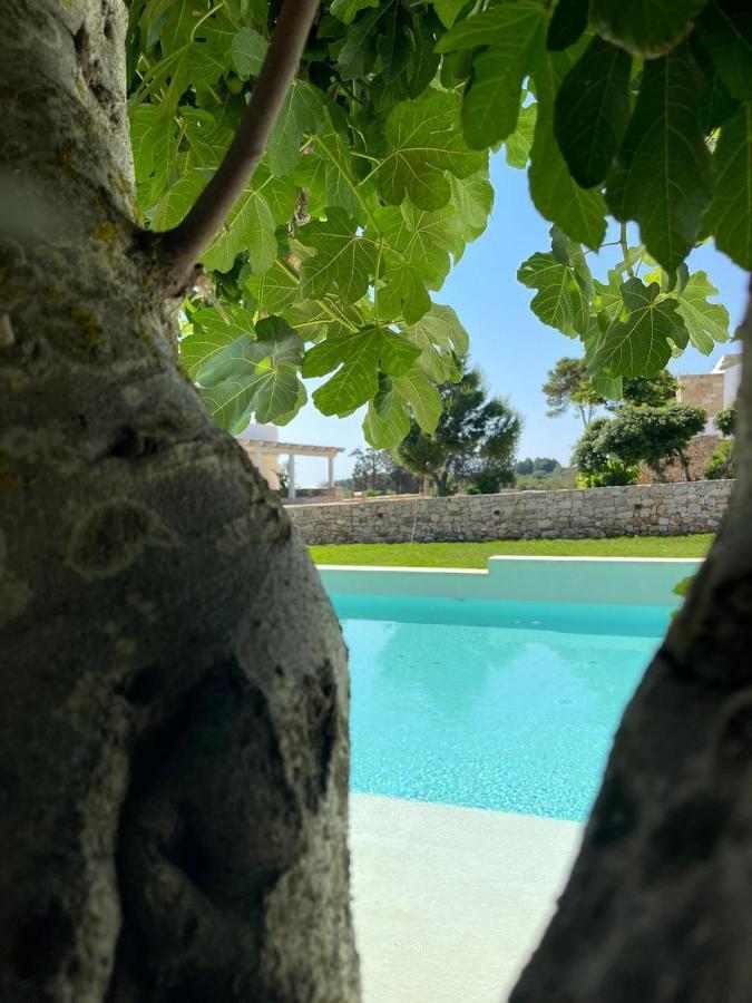 Masseria Baroni Di Montesardo リド・マリーニ エクステリア 写真