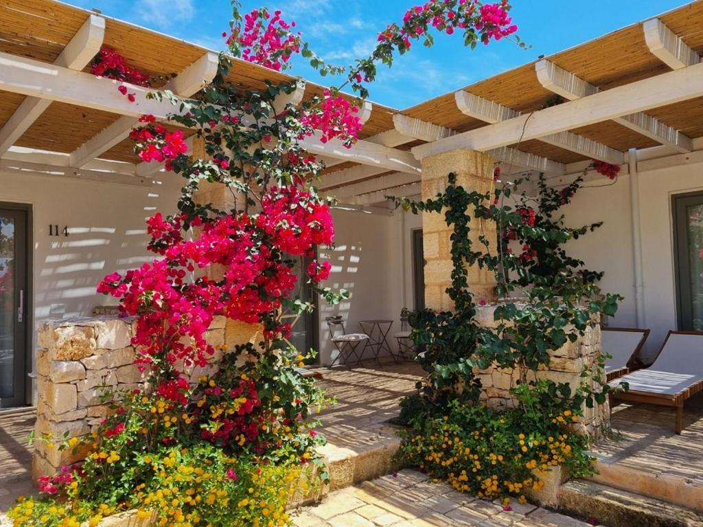 Masseria Baroni Di Montesardo リド・マリーニ エクステリア 写真